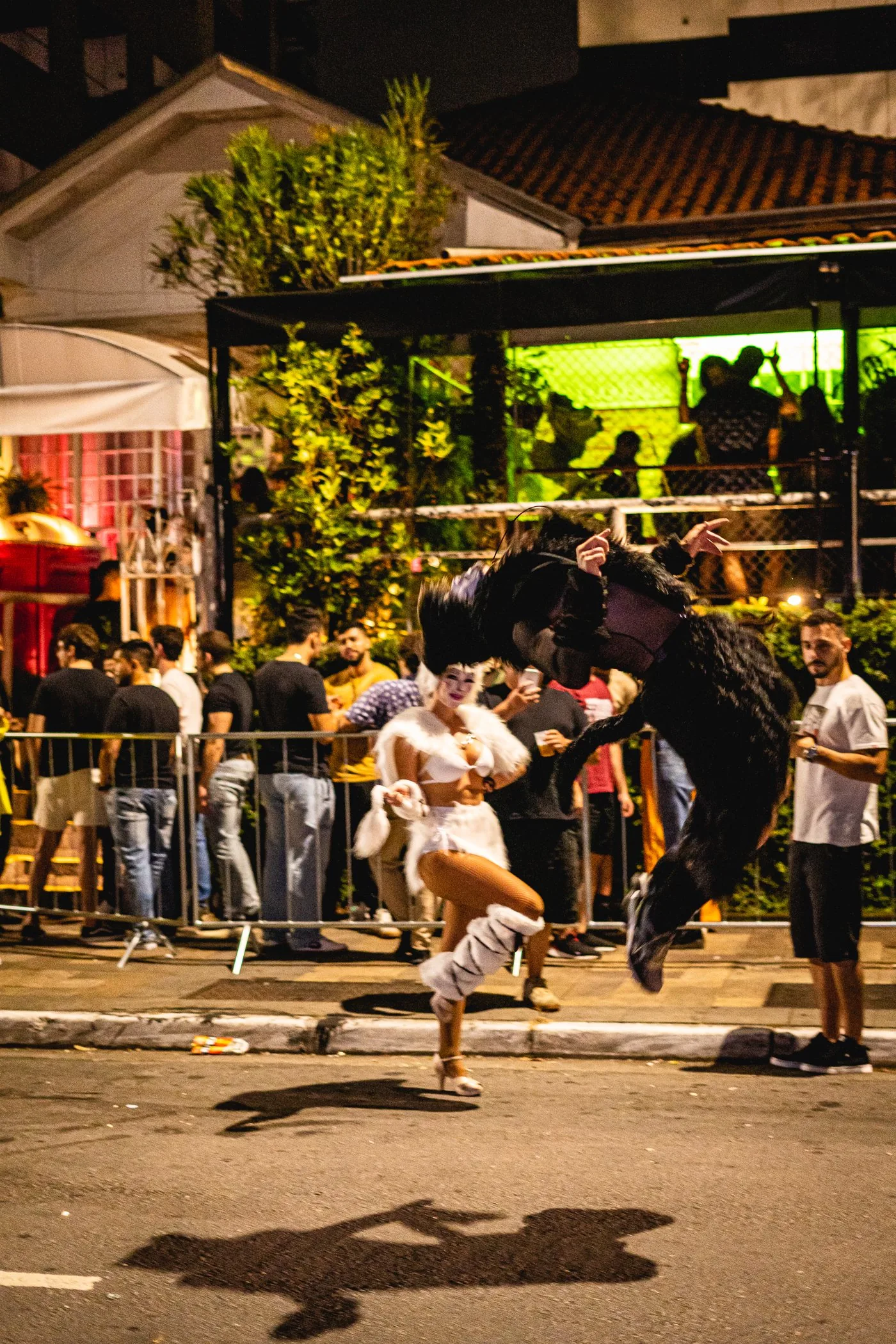 Os dois gatos em pleno salto na rua, diante da fila